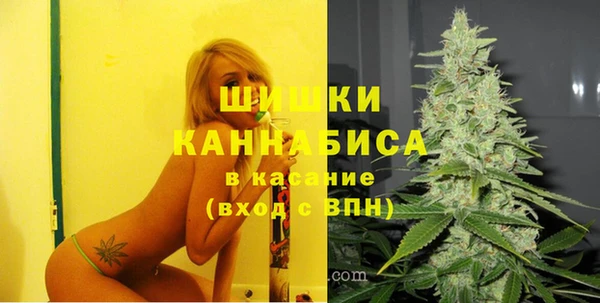 PSILOCYBIN Алексин