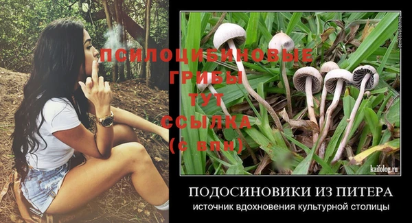 PSILOCYBIN Алексин