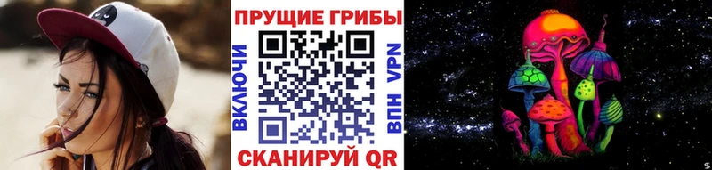 Псилоцибиновые грибы Magic Shrooms  Купить где  Тейково 